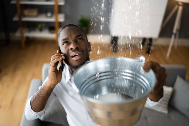 Best Carpet water damage restoration  in Emsworth, PA