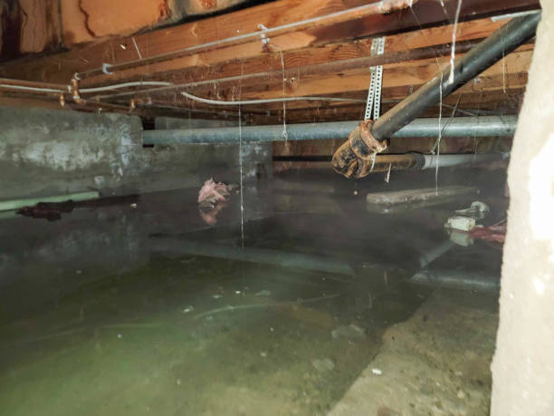 Best Sewage cleanup and water damage restoration  in Emsworth, PA