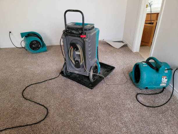 Best Residential water damage restoration  in Emsworth, PA