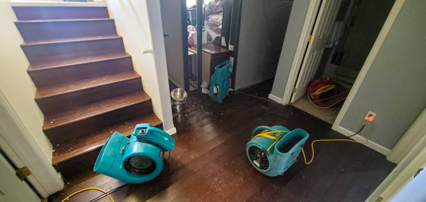 Best 24/7 water damage repair  in Emsworth, PA