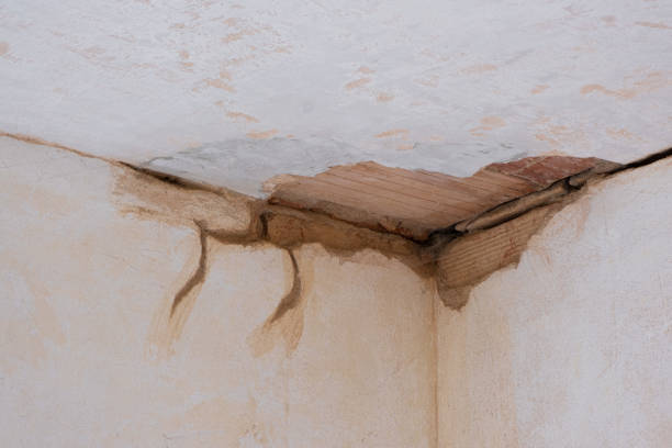 Best Emergency water damage restoration  in Emsworth, PA