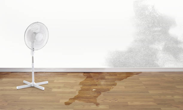  Emsworth, PA Water damage restoration Pros