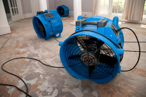 Best Flood damage cleanup  in Emsworth, PA