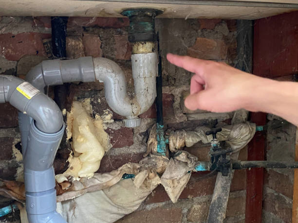 Best Local water damage restoration  in Emsworth, PA